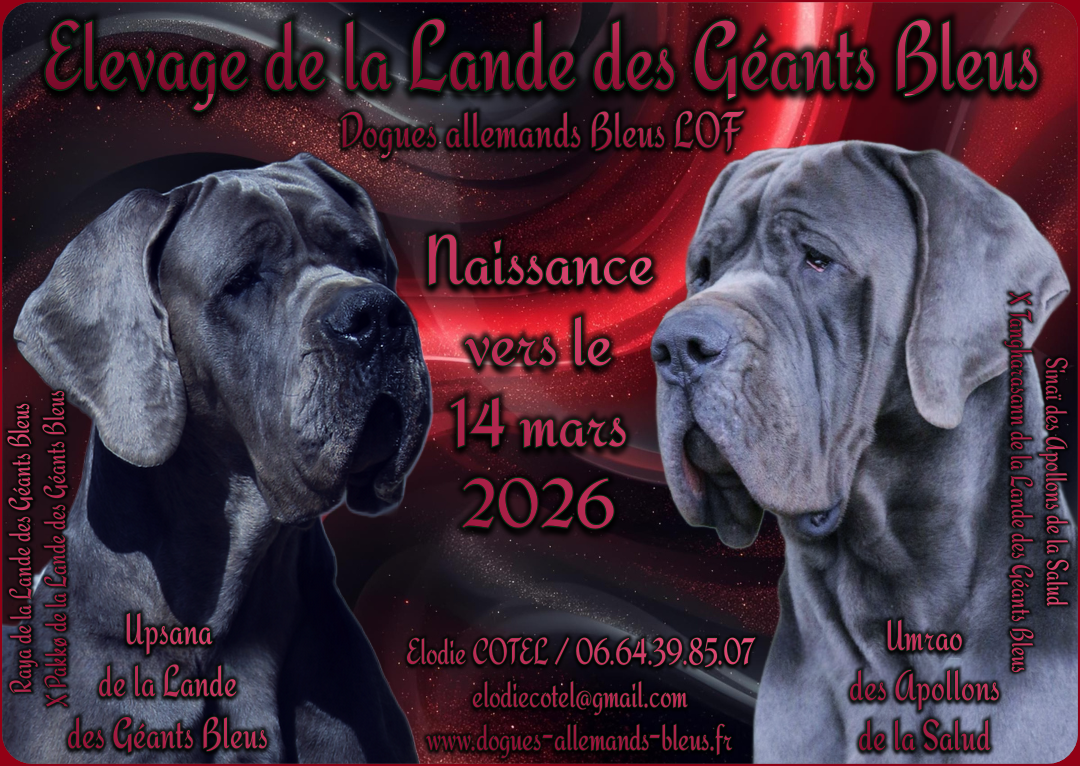 Les prochains bébés vont naître vers le 14 mars 2026