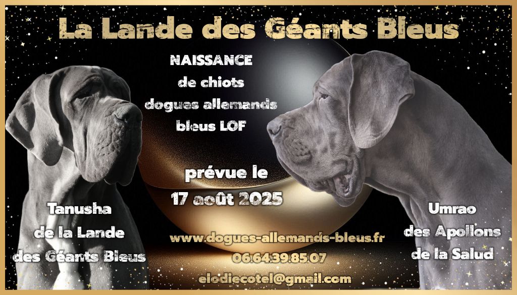 PROCHAINE NAISSANCE PREVUE LE 17 AOÛT